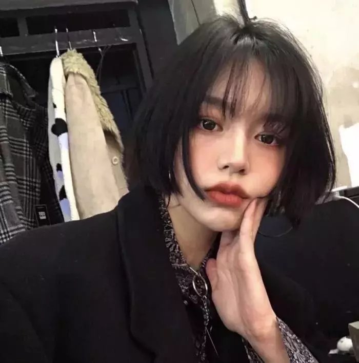 双生赤狐